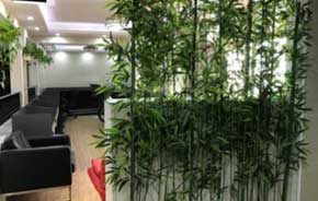 深圳金泊紙業(yè)